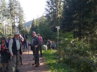 Heinz und Ulla als Wanderführer führten uns auf dem "Unteren Kohlbachweg" Richtung Jockleshäusle.