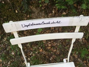 Rätselhaft, wer diesen Stuhl im Wald aufgestellt hat?
