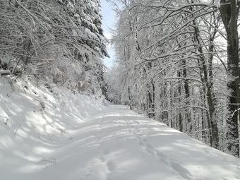 Zwei Spuren im Schnee führn hinauf in steile Höhn