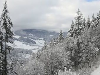 Blick ins verschneite Oberried und zum Schauinsland