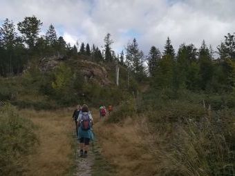 Durch wilde Landschaften wandern wir bergauf zum 1.075 m hohen Hohfelsen.