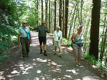 Eine kleine sehr interessierte Gruppe war gut 3,5 Stunden mit Revierförster Heinz Kummer unterwegs im Zastler-Wald.