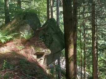 Wuchtige Felsen, steile Hänge und schwer zu erntende hohe Bäume charakterisieren den Zastlerwald